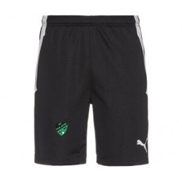 TEAM LIGA TRAINING SHORT